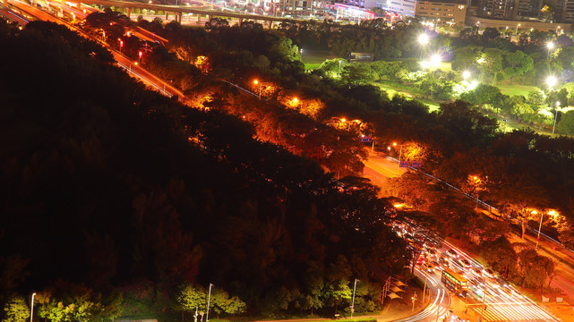 深南大道白石洲沙河东路段夜景