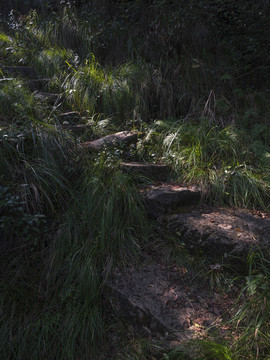 三峡古石梯步道