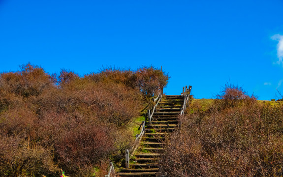 高山栈道