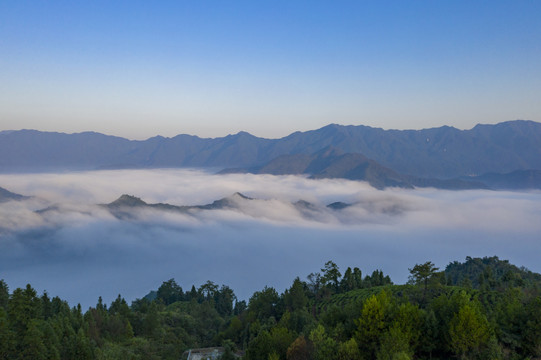 高山白云云海云雾安徽牯牛降景区