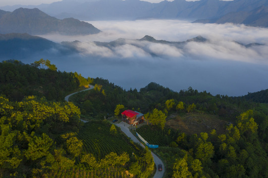 高山白云云海云雾安徽牯牛降景区