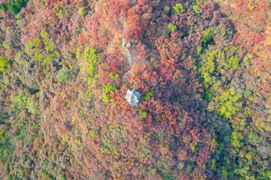 航拍济南红山翠谷景区的漫山红叶