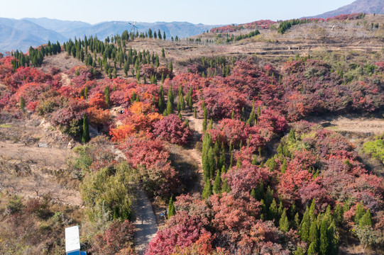 航拍济南红山翠谷景区的漫山红叶