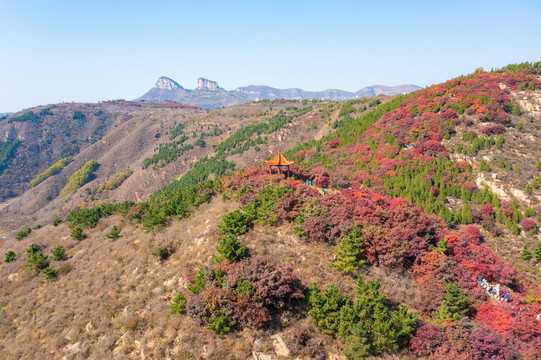 航拍济南红山翠谷景区的漫山红叶