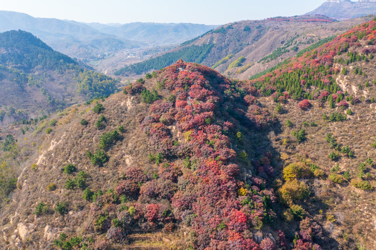 航拍济南红山翠谷景区的漫山红叶