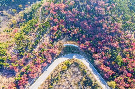 航拍济南红山翠谷景区的漫山红叶