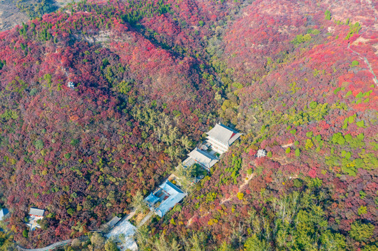 航拍济南章丘莲花山红叶