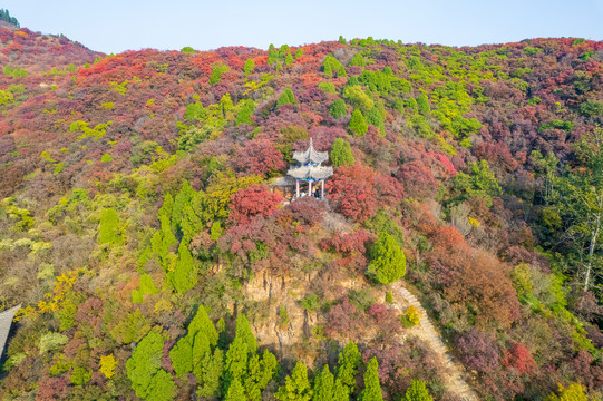 航拍济南章丘莲花山红叶