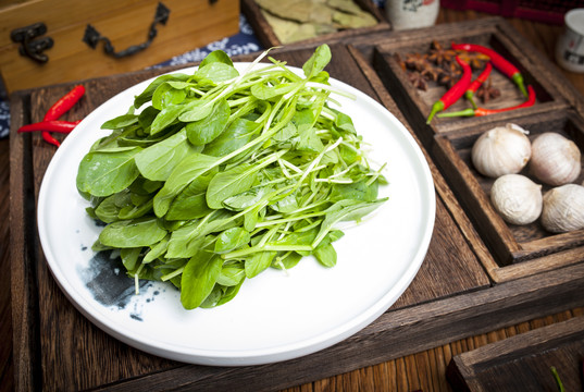 鸡毛菜