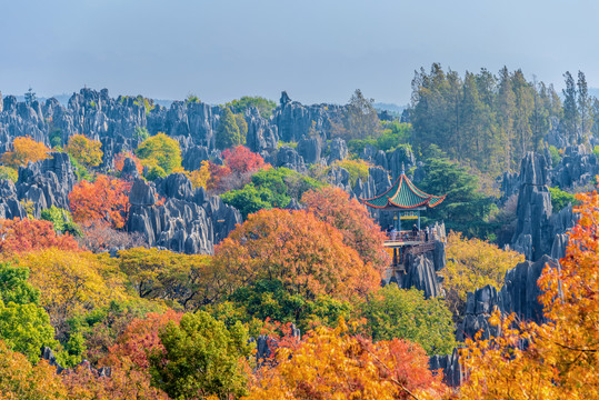 中国云南昆明石林风景区