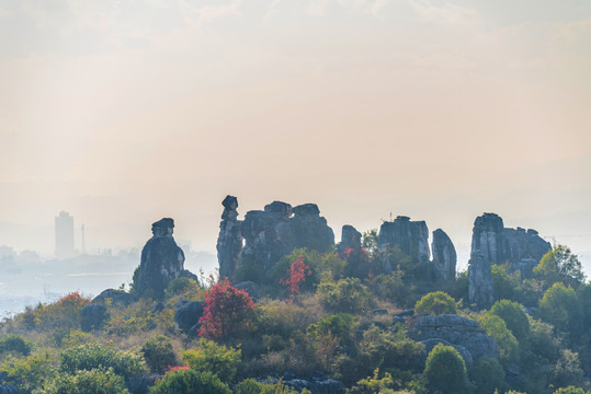 中国云南昆明石林风景区