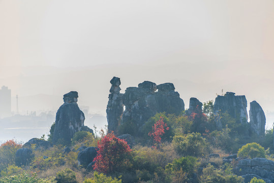 中国云南昆明石林风景区