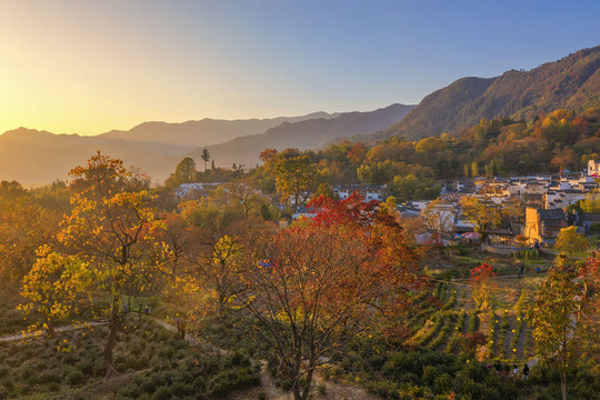 塔川秋色