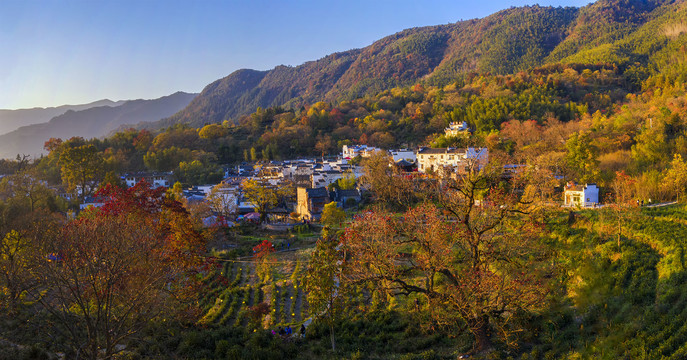 宽幅塔川秋色