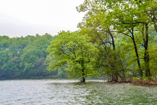 黃栗樹水庫