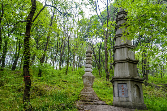 森林石塔