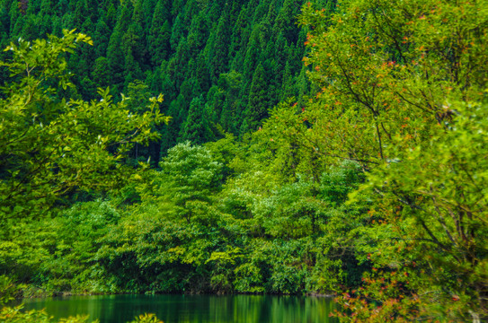 达蓬山九龙湖风光