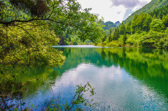 宁波达蓬山九龙湖