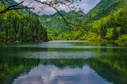 宁波达蓬山九龙湖