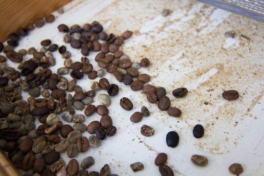 咖啡豆咖啡烘焙瑕疵豆