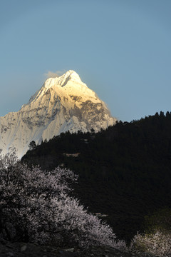 林芝风光