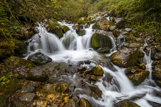 海螺沟山间溪流水