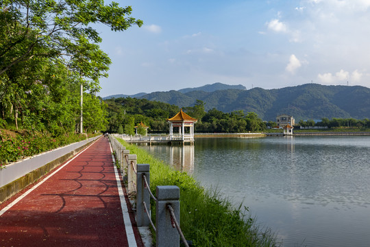 公园风景