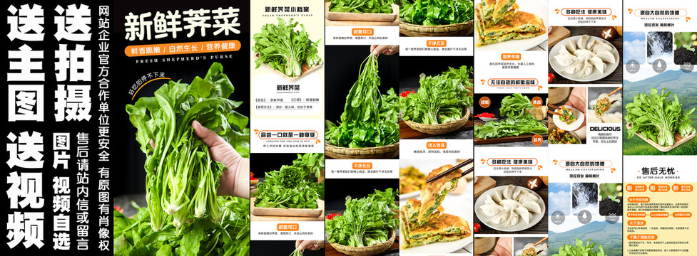 新鮮薺菜詳情頁設計