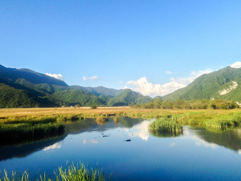 湖北神农架大九湖九湖坪