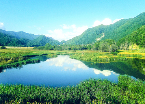 湖北神农架大九湖九湖坪