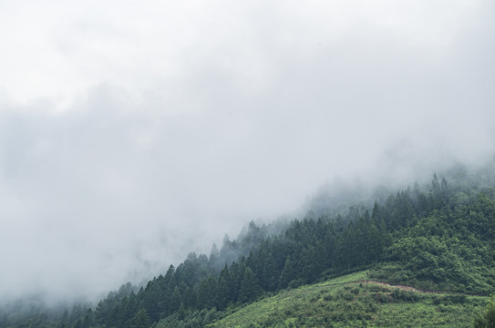 大雾高山