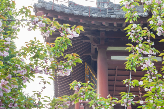 西安青龙寺