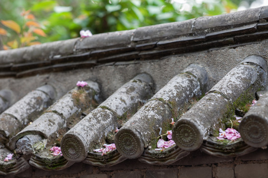 西安青龙寺