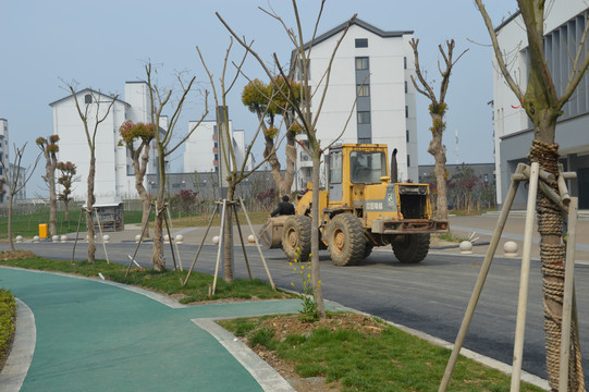 新修的道路