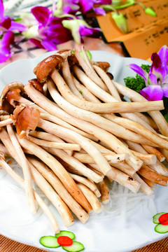 茶樹菇
