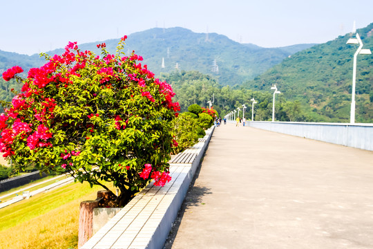 广东深圳塘朗山梅林水库