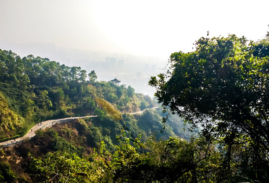 广东深圳塘朗山梅林水库