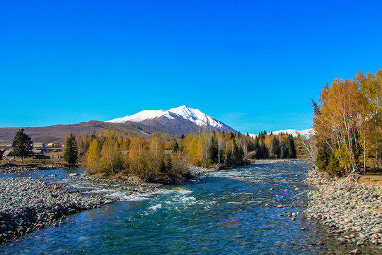 喀纳斯秋景