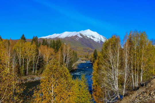 大美喀纳斯风景区