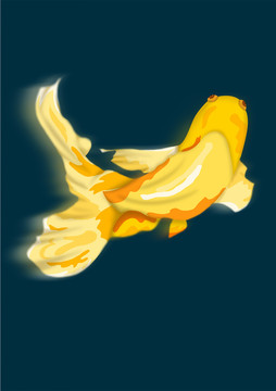 原創(chuàng)錦鯉黃色鯉魚中國風(fēng)插畫素材