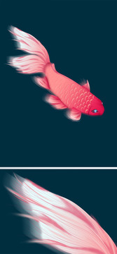 原創(chuàng)錦鯉紅色鯉魚(yú)中國(guó)風(fēng)插畫(huà)素材