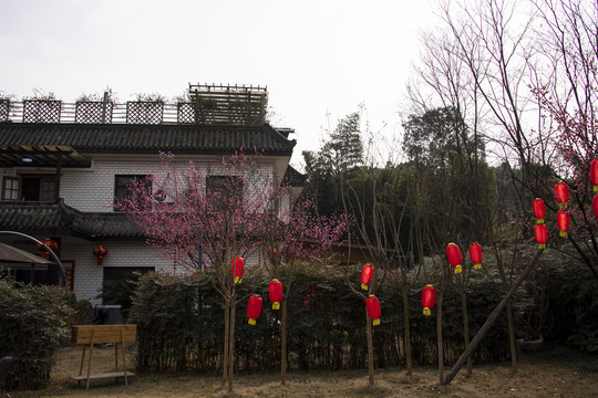 四川成都红砂村花乡农居民居建筑