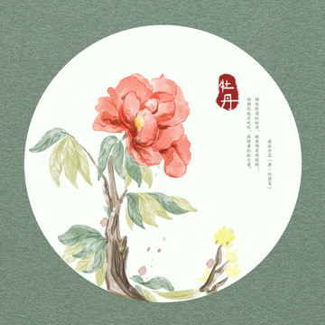 國畫牡丹花卉