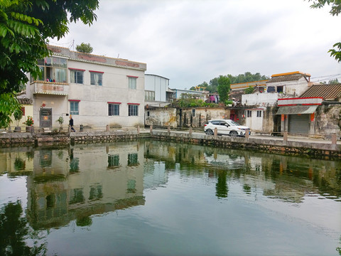 水塘风景