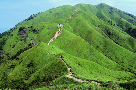 江西武功山的高山草甸