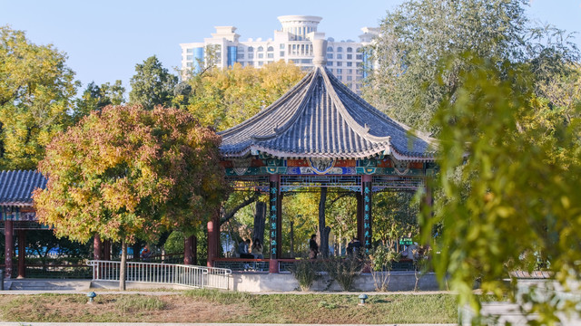 天津水上公园秋景