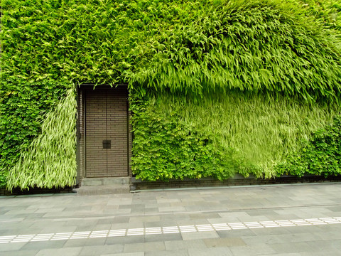 绿植墙装饰门