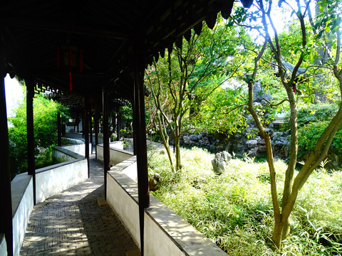 公園風光