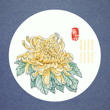 國(guó)畫(huà)菊花花卉