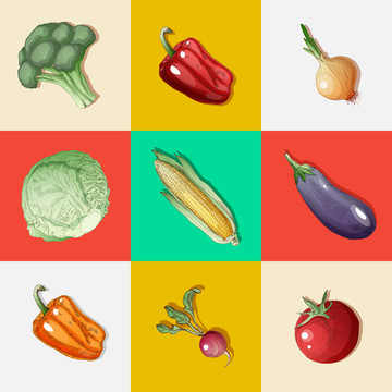 多种蔬菜手绘创意设计插图